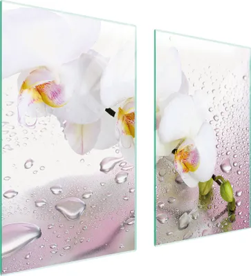 Produktbild von Herdabdeckplatten 2 teilig 75x52 Glaskeramikkochfeld Abdeckung Glas Schneidebrett Orchidee Weiß