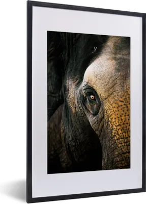 Produktbild von MuchoWow® MuchoWow® Gerahmtes Poster Elefant - Nahaufnahme - Tiere - Natur 40x60 cm - Poster mit zchwarzem Bilderrahmen - Poster in Rahmen