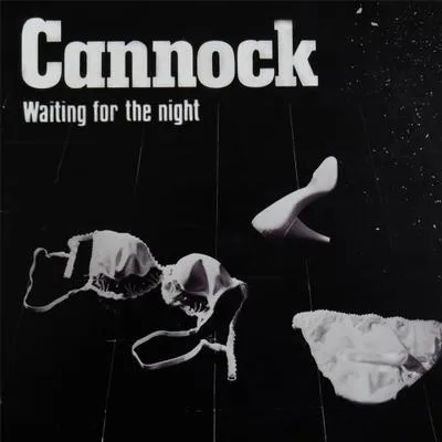 Produktbild von Waiting For The Night