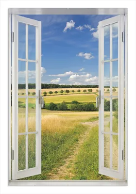 Produktbild von Wallario Wandbild mit Fenster-Illusion: Feldlandschaft unter blauem Himmel, Größe: 61 x 91,5 cm, Poster mit rahmenlosen Bildhalter