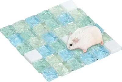 Produktbild von Kühlmatte für Nagetiere, geeignet für Kaninchen und Meerschweinchen, waschbar, 10x10 cm
