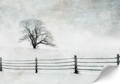 Immagine prodotto di LUMASOUL Carta da parati fotografica 500x350 cm, Motivo invernale 10, carta da parati soggiorno di alta qualità facile da montare, standard