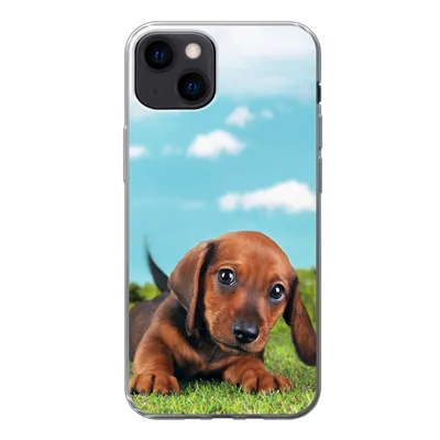 Produktbild von MuchoWow® Handyhülle Schutzhülle Hülle für iPhone 13 Schöner Himmel über einem niedlichen Dackelwelpen Silikon Softcase Handy Hülle - Karteninhaber