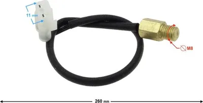 Immagine prodotto di Sensore di temperatura per ciclomotore FR 2