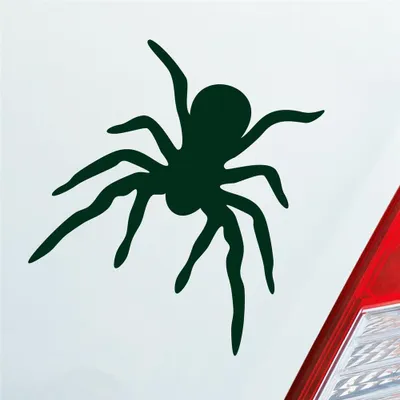Produktbild von Auto Aufkleber Spinne Spider giftig Tier Ekel 10x10,5 cm Dunkelgrün Sticker Heckscheibenaufkleber