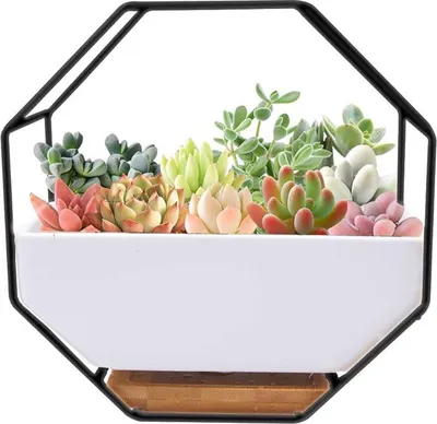 Produktbild von Keramische Wandvase, moderne Dekoration, weiß, für Cactussen und Sukkulenten, Balkon und Garten, Wandkunst.