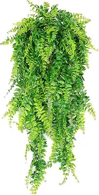 Produktbild von Dekoracyjna wisząca roślina, sztuczne zielone kwiaty, wisząca paproć, dekoracja roślinna, udekoruj swój dom, realistyczny wygląd, 80 cm - Fernleaves
