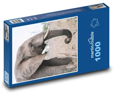 Zdjęcie produktu dla Puzzle 1000 Słoń na wolności - martinpuzzle
