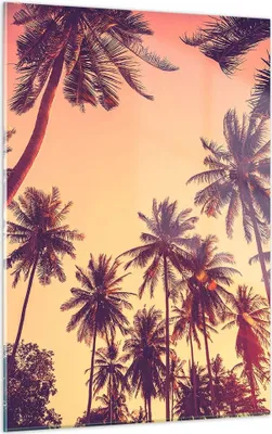 Produktbild von Bilder auf glas - Einteilig - Palmen Himmel Sonne - 50x70cm - Glasbilder - Wandbilder - Bilder - zum Aufhängen bereit - Wanddekoration aus Glas - Glas Bilder - Wandbild auf Glas - GPA50x70-4220