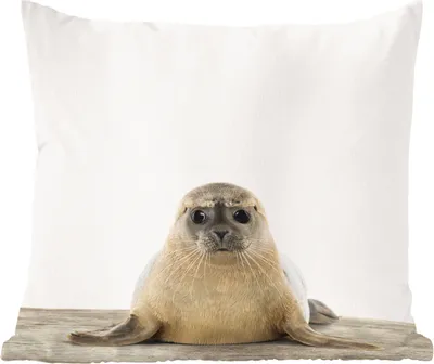 Produktbild von MuchoWow® Zierkissen Sofakissen Wohnzimmer Dekokissen 45x45 cm Tiere - Robbe - Weiß - Schlafpolster - Polster für das Sofa