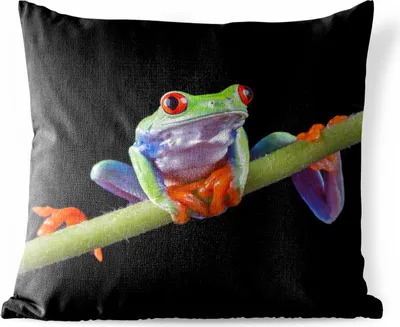 Produktbild von MuchoWow® Outdoor Kissen - Frosch - Orange - Grün - 50x50 cm - Wetterfest - Lounge Kissen - Komfortabel - Kissen mit Bild