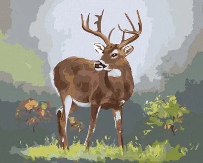 Produktbild von Zuty - Malen nach Zahlen - HIRSCH (D. RUSTY RUST), 40x50 cm, ohne Keilrahmen