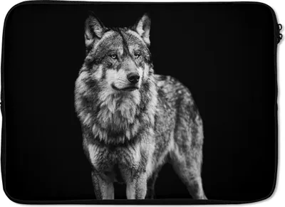 Produktbild von MuchoWow® Laptop Hülle 13 Zoll Wolf - Tiere - Wild - Schwarz - Weiß Laptoptasche - Laptophülle - Sleeve - Rundumschutz