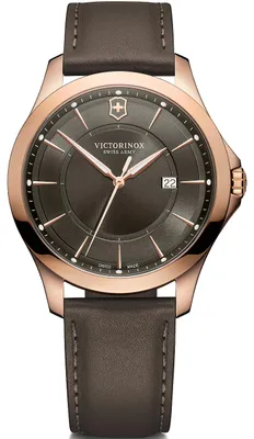 Obrázek produktu pro Pánské hodinky Victorinox 241908 šedé