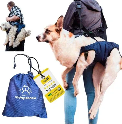 Produktbild von Famanu Tragehilfe für Hunde - Ideal für tägliche Unterstützung - Größe L