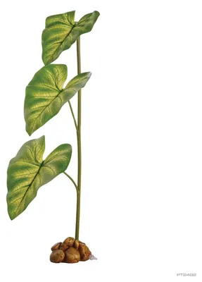 Productafbeelding van Exo Terra Dripper Plant Large – kunstplant met pomp voor natuurlijke drinkwatervoorziening bij reptielen en amfibieën L - 10x13x55CM