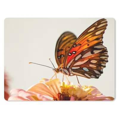 Produktbild von MuchoWow® Mauspad Mousepad Schmetterling - Orange - Blume - Insekten 23x19 cm - Mousepads - Maus Mat - Pad - Mausunterlage - Schreibtischunterlage - Mauspad