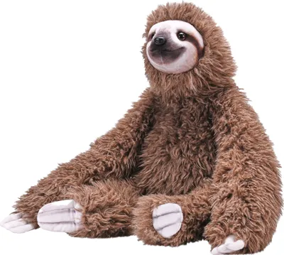 A plush toy sloth sitting on a white background.