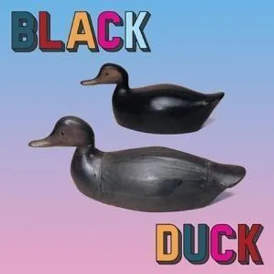 Produktbild von Black Duck