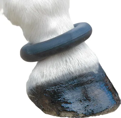 Produktbild von Shires - Pferde Fesselring, Leder ER773 (Einheitsgröße) (Schwarz)