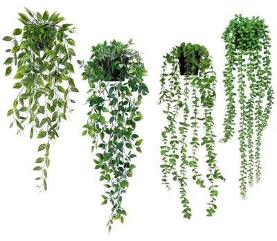 Image de 4 plantes suspendues en pot, plantes suspendues artificielles, feuilles d'eucalyptus artificielles en pot, plantes artificielles réalistes, plantes en pot suspendues pour la décoration de la maison et du jardin
