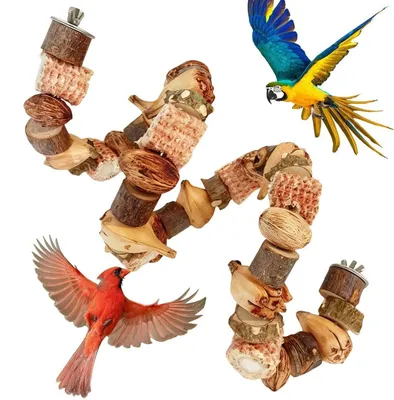 Image de Jouet en bois en forme d'épi de maïs, 80 cm, pour perroquets, perruches ondulées et autres oiseaux