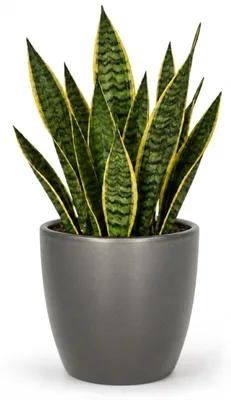Produktbild von Floran Blumentopf „Boule“ - silber - metallic - Keramik - D 22 x H 19 cm