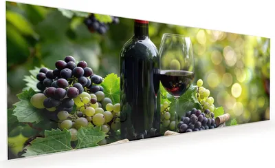 Produktbild von Küchenrückwand Spritzschutz Glas mit Motiv Wein Und Trauben 40 x 40 cm