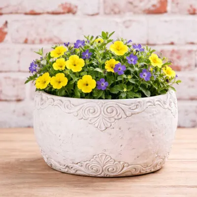 Produktbild von AltoBelli Blumentopf ADELINA Schale Zement Antik Grau Patina 20x10 cm