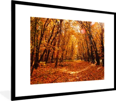 Produktbild von MuchoWow® Gerahmtes Poster Herbst - Wald - Laub - Jahreszeiten 80x60 cm - Poster mit Schwarzem Bilderrahmen Wandposter Rahmen Foto Bilder - Schlafzimmer-Dekorationen - Fotoposter