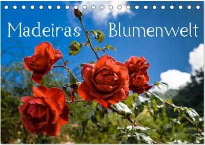 Produktbild von Madeiras Blumenwelt (Tischkalender 2025 DIN A5 quer), CALVENDO Monatskalender