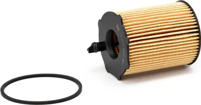 A car oil filter and a rubber gasket are placed on a white background.