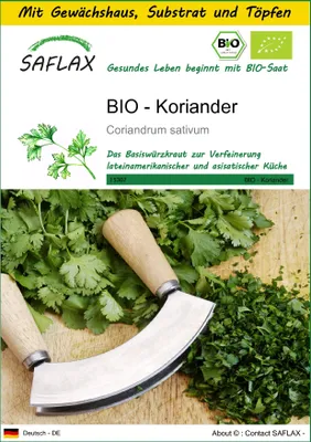 Produktbild von SAFLAX Anzucht Set - BIO - Koriander - Coriandrum sativum - 150 Samen - Mit Mini-Gewächshaus, Anzuchtsubstrat und 2 Töpfen