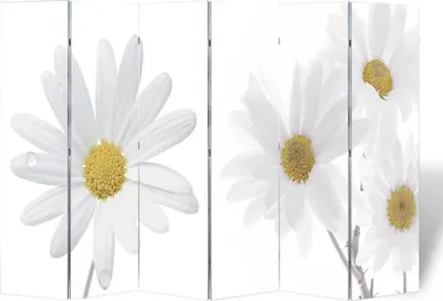 Image de Cloison de séparation pliable 217x170 cm Fleur
