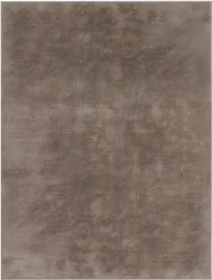 A close-up, textured view of a rug.