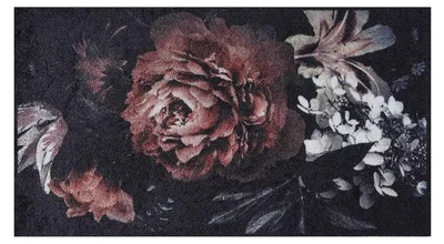 Produktbild von MD Entree Universal | Teppichläufer - Wohnzimmerteppich - Eingangsmatte,Größe:67x150 cm;Motiv:bella rosa