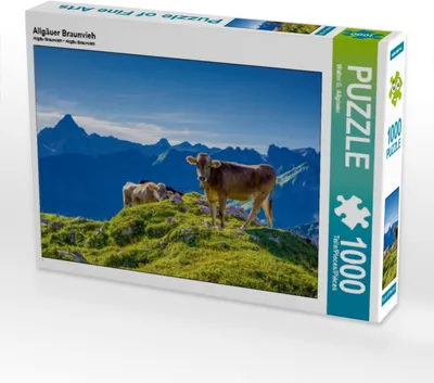 Produktbild von Calvendo Allgäuer Braunvieh 1000 Teile Puzzle quer 640x480mm, G. Allgöwer Walter; 7455499