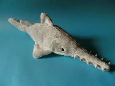 A plush toy sawfish is lying on a blue background.