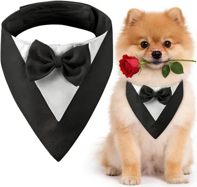 Imagen del producto de Traje elegante para perros, con corbata negra, talla 20-30 cm, ideal para perros pequeños, perfecto para ocasiones especiales
