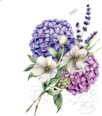 Produktbild von Servietten Papier 33x33cm 3-lagig Hortensien Lavendel Blumen 20 Stück