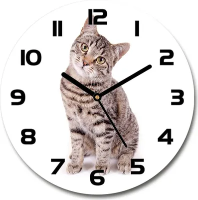Produktbild von Wanduhr aus Glas 30fi Glasbild Glasuhr Gehärtetes Glas - schwarze-zeiger - Cat