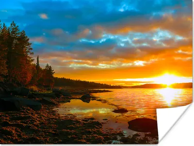 Produktbild von MuchoWow® Poster Sonne - Landschaft - Wasser - Bäume 160x120 cm - Foto Plakat