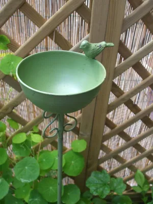 Produktbild von Vogeltränke auf Stab, Futterstelle, Gartenstab, Gartenstecker, Eisen, grün