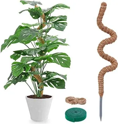 Produktbild von Moosstab für Monstera - 120cm Biegsame Pflanzenstütze für Indoor, Handgemachte Coco Coir Pole Rankhilfe Unterstützung für Creeper Wachsen Nach Oben