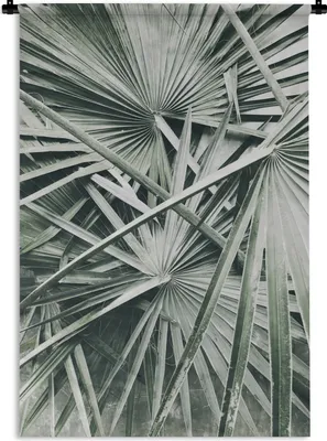Produktbild von MuchoWow® Wandteppich Wandbehang Tropisch - Palmenblatt - Grün 90x135 cm Tapisserie Dekoration Wandtuch - Baumwolle - Wandskulptur