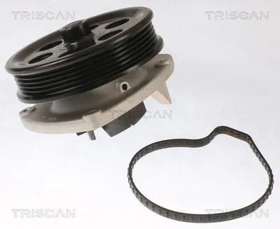 Produktbild von TRISCAN Wasserpumpe, Motorkühlung 8600 10087