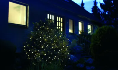 A house at night with a small tree decorated with LED lights in the foreground.