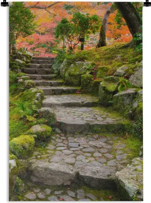 Produktbild von MuchoWow® Wandteppich Wandbehang Natur - Steine - Kröte - Moos - Japanisch 90x135 cm Tapisserie Dekoration Wandtuch - Baumwolle - Wandskulptur