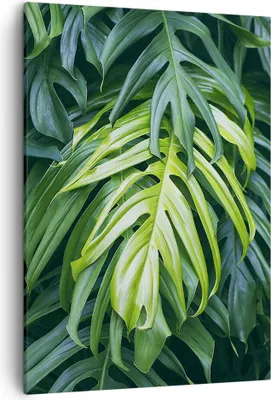 Produktbild von Bild auf Leinwand - Leinwandbild - Einteilig - Blume Natur - 50x70cm - Wand Bild - Wanddeko - Wandbilder - Leinwanddruck - Kunstdruck - Wanddekoration - Leinwand bilder - Wandbild - PA50x70-3951