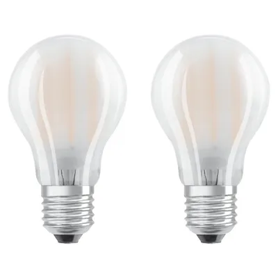 Two frosted LED light bulbs with silver bases are shown against a white background.